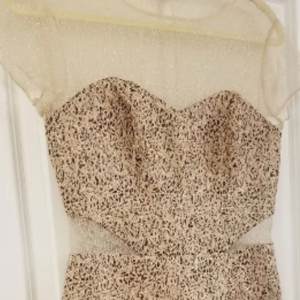 Phoebe Couture dress-NWOT-4-Light pink/shimmer with sheer top and side cutouts